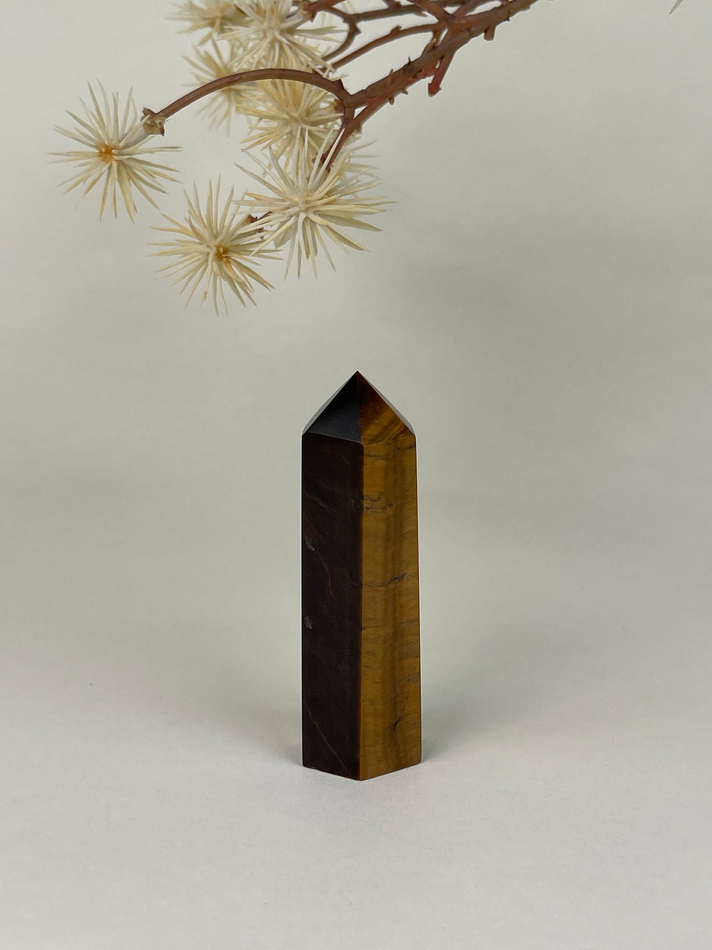 Tiger's Eye Tower
