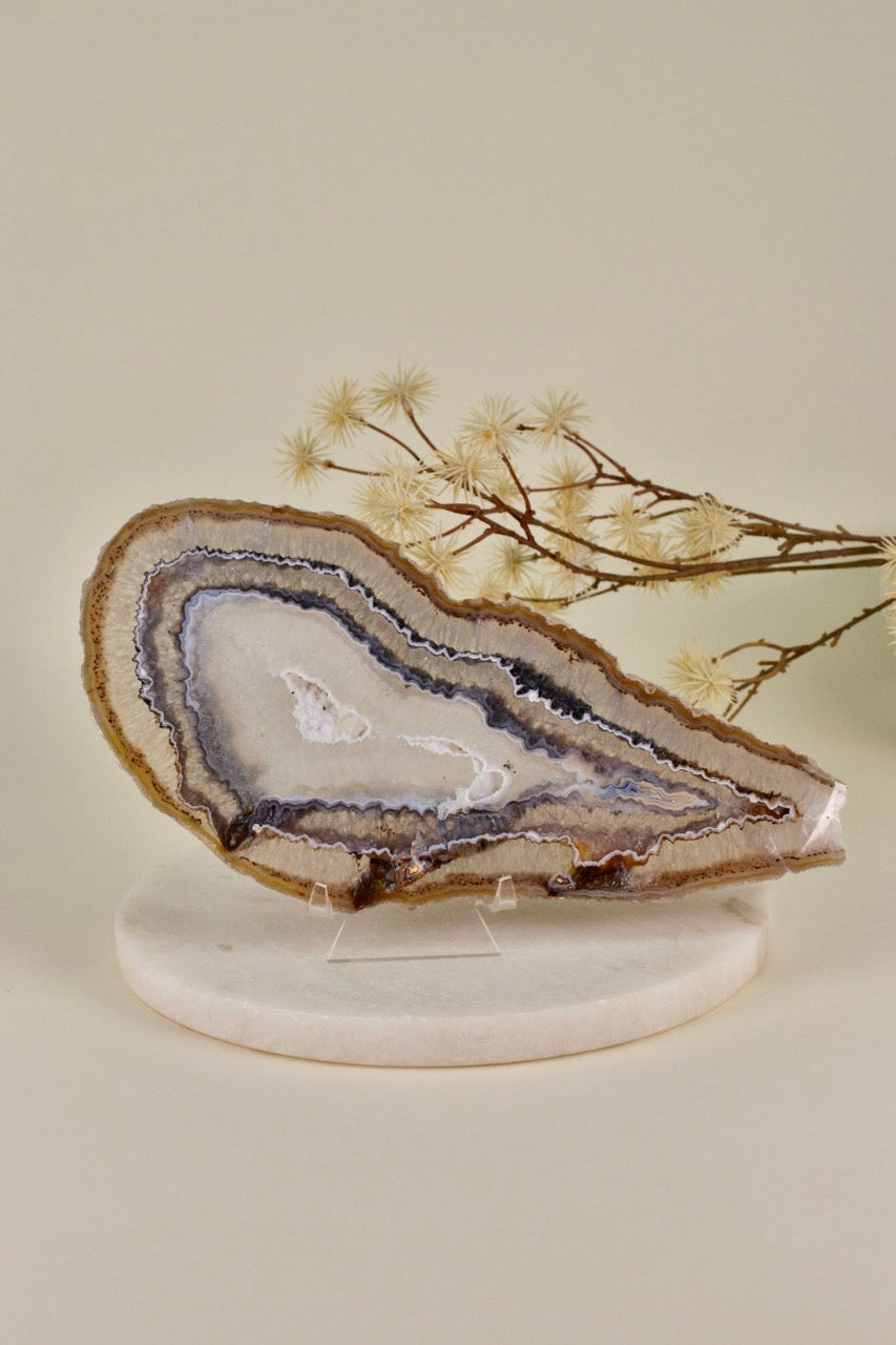 Agate Slice E