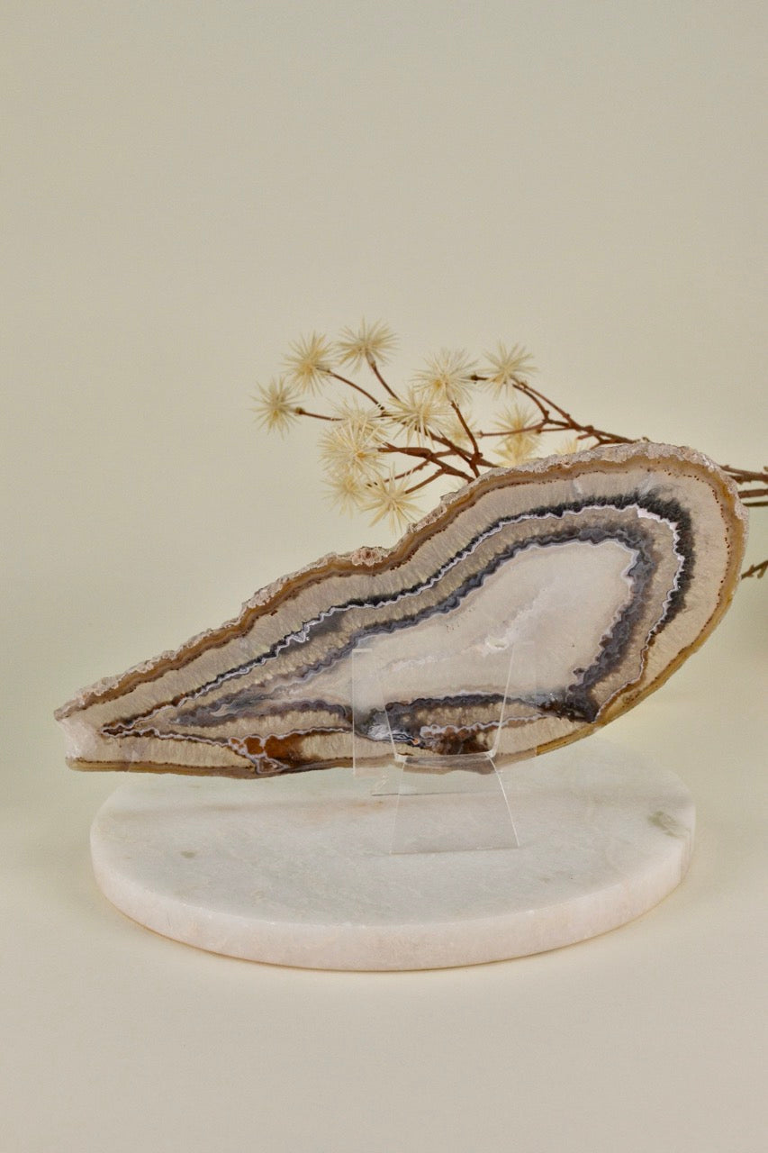 Agate Slice E