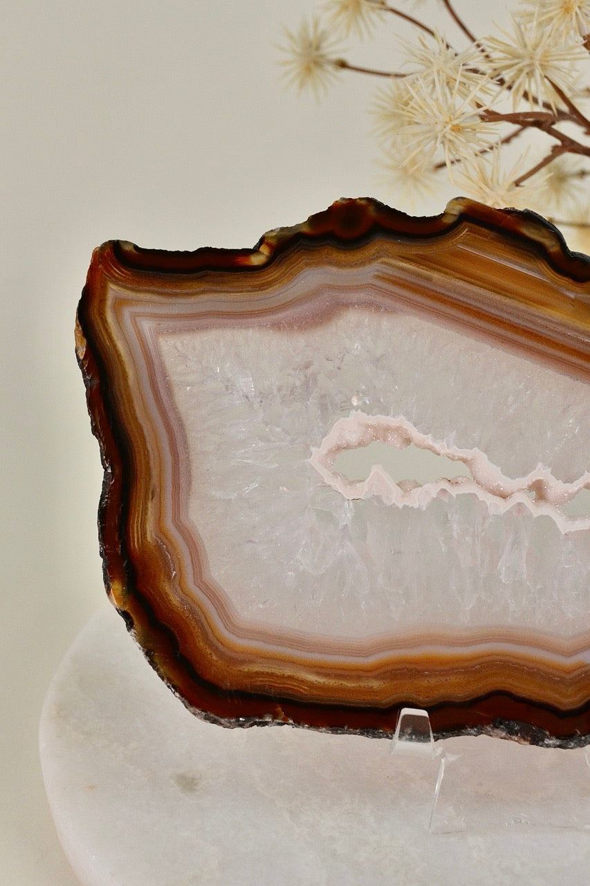 Agate Slice C