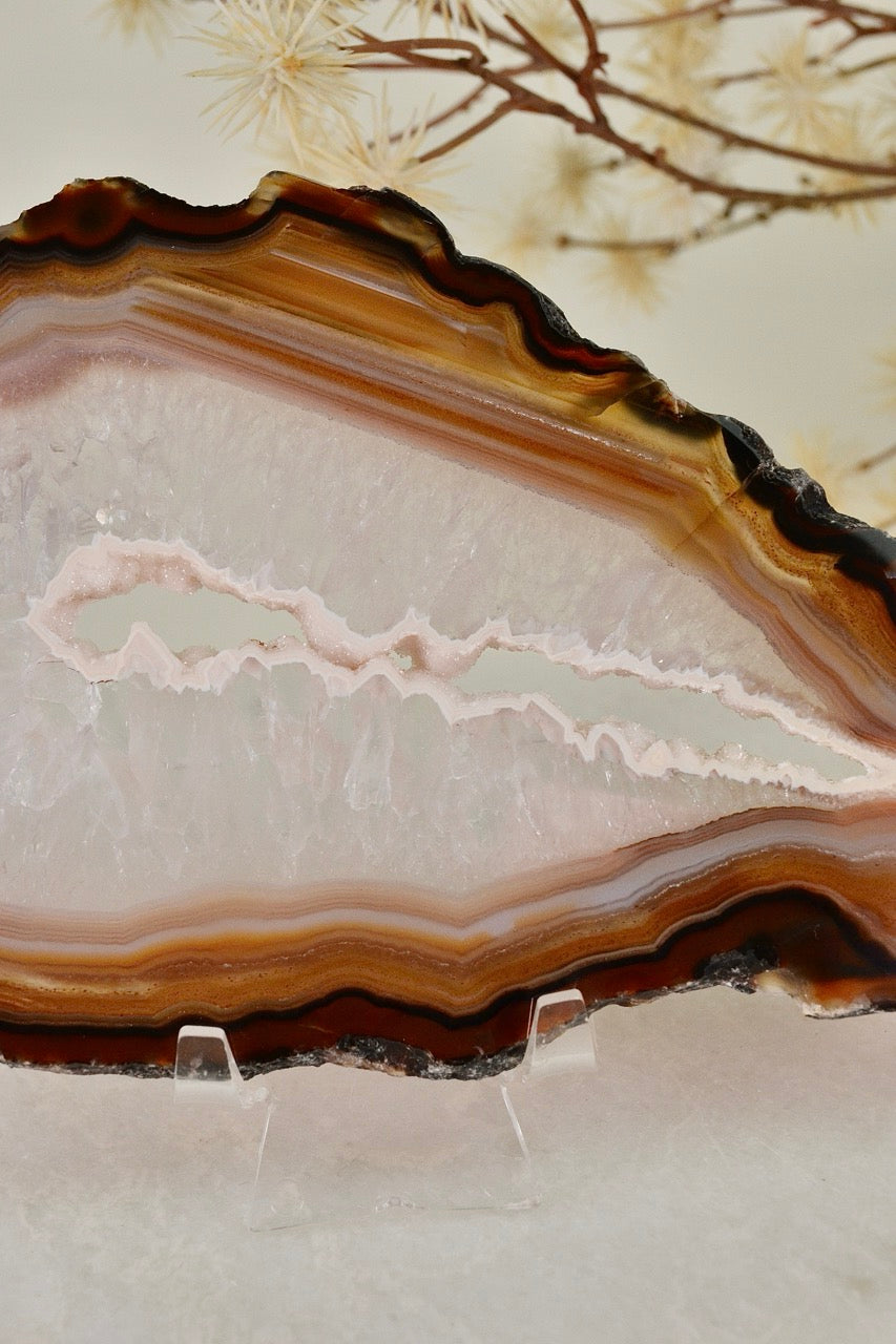 Agate Slice C