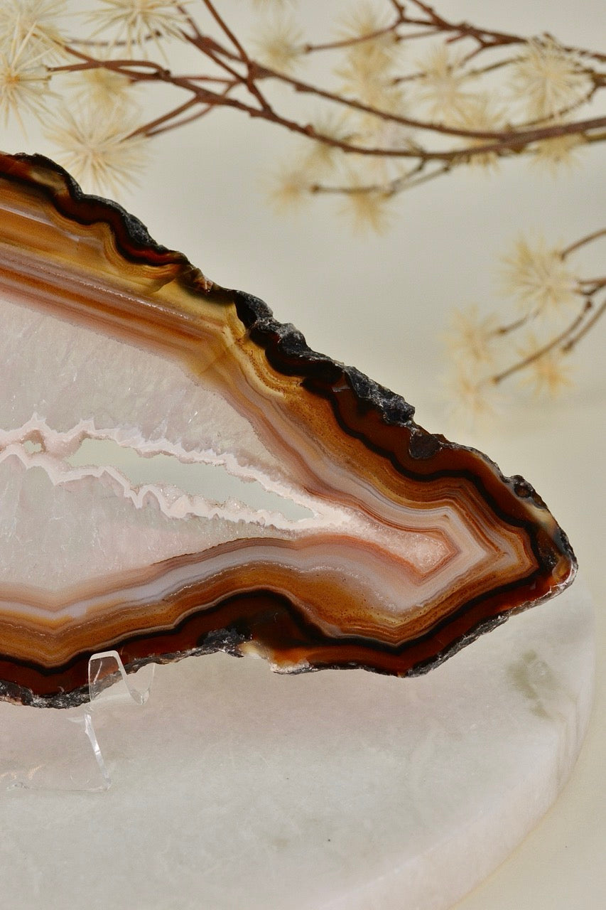 Agate Slice C