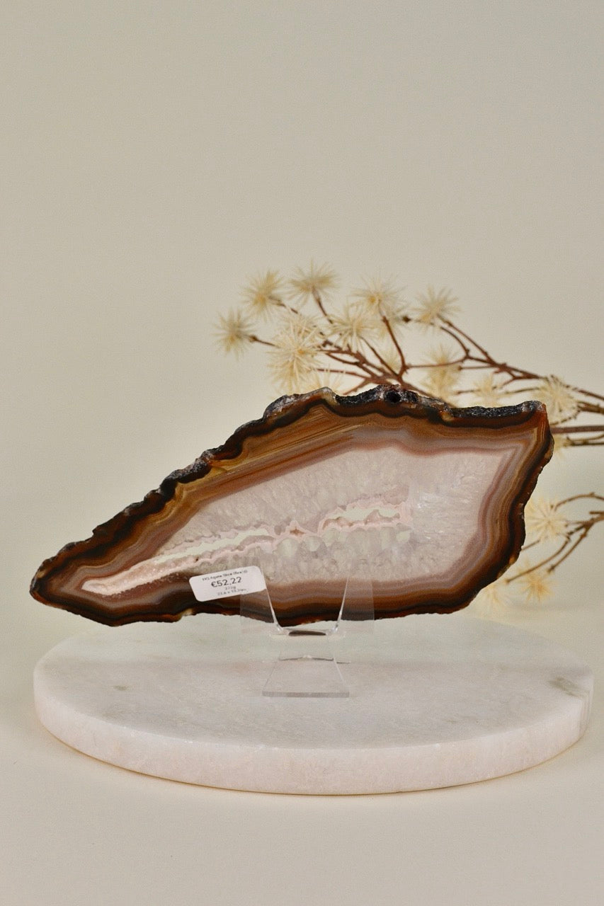 Agate Slice C
