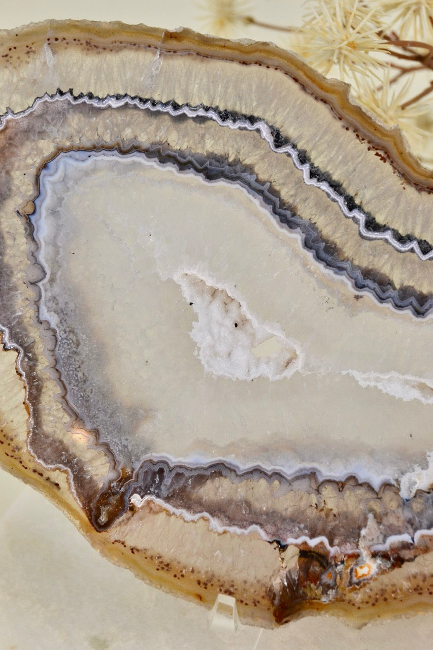 Agate Slice E