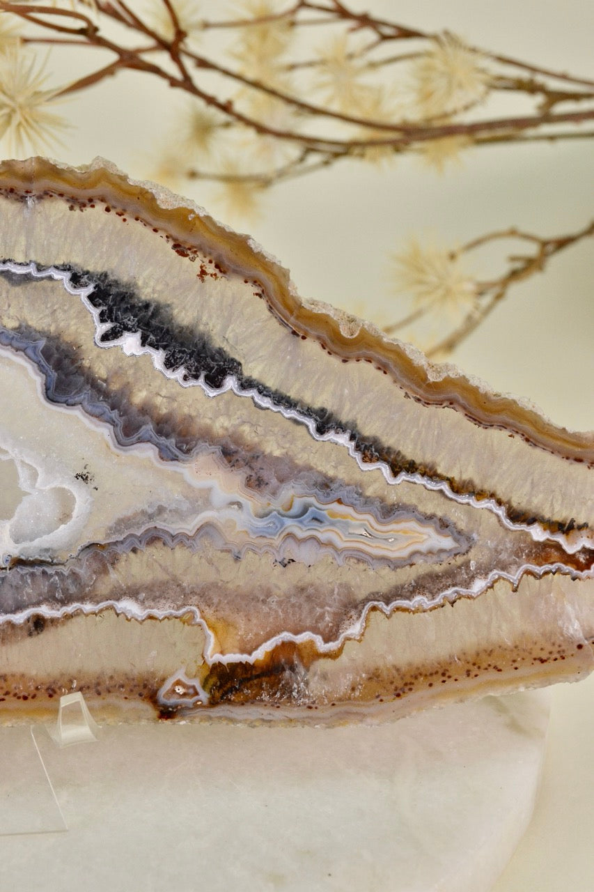 Agate Slice E