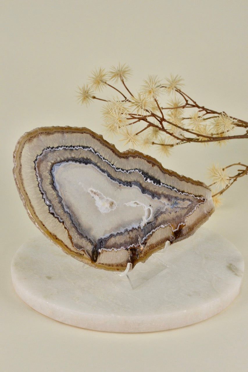 Agate Slice E