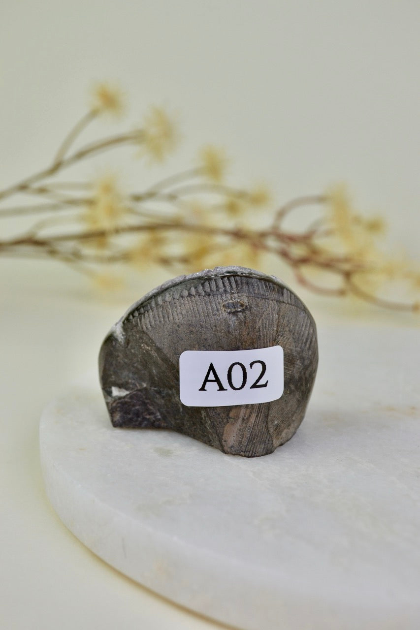 Amethyst Cut Base Cluster A02