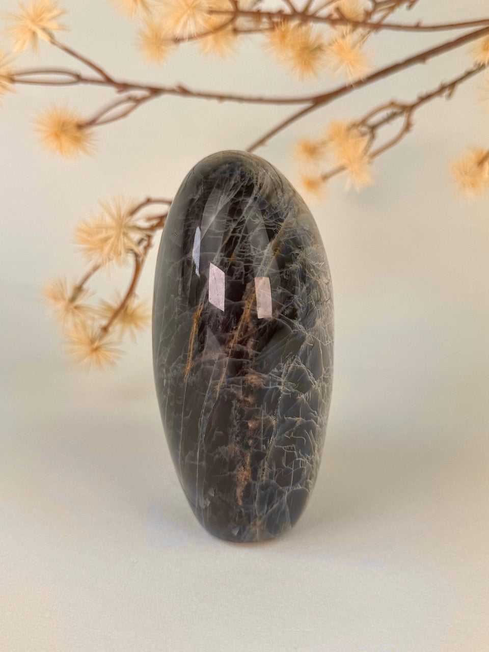 Black Moonstone Ornament D
