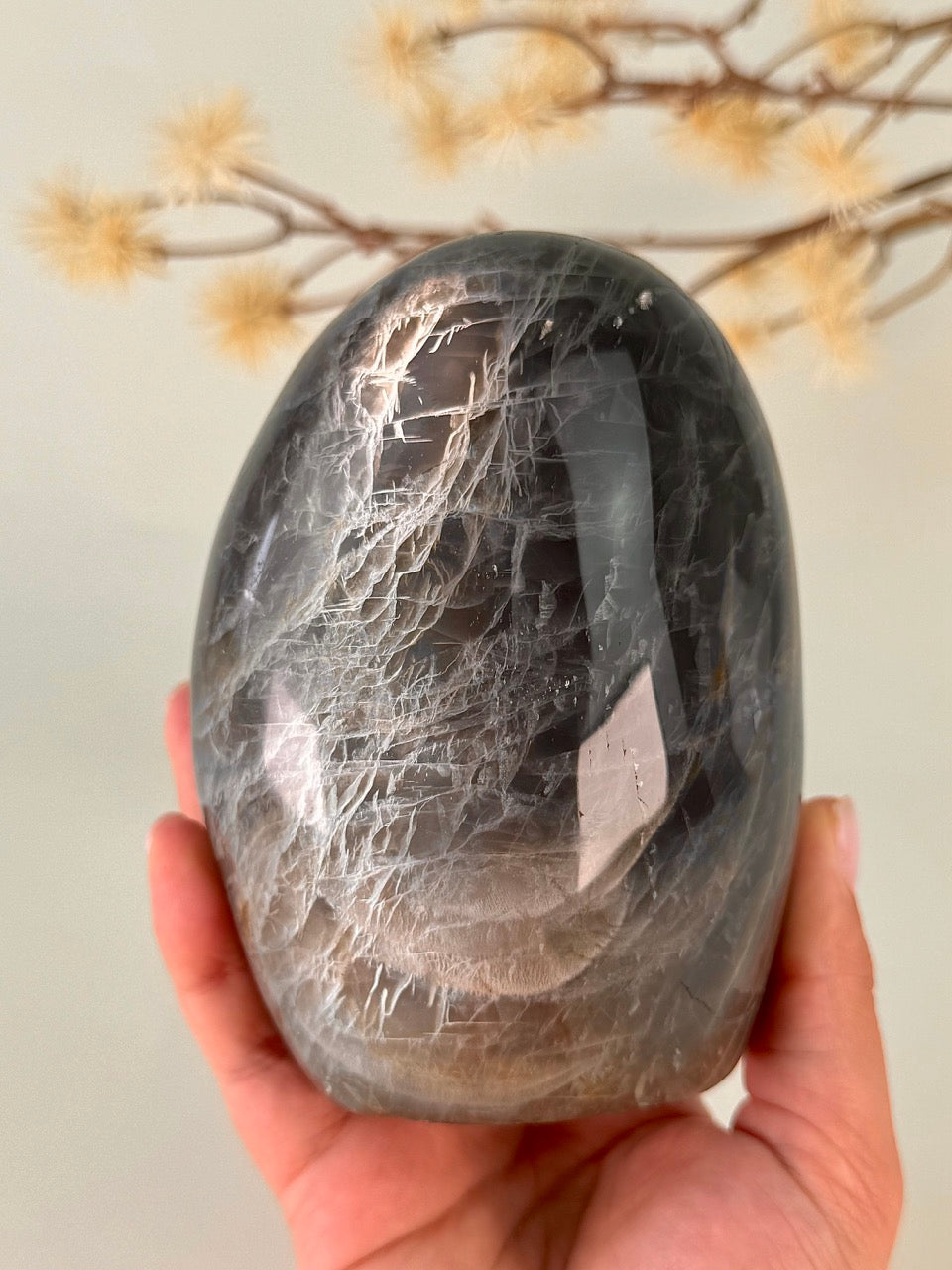 Black Moonstone Ornament D