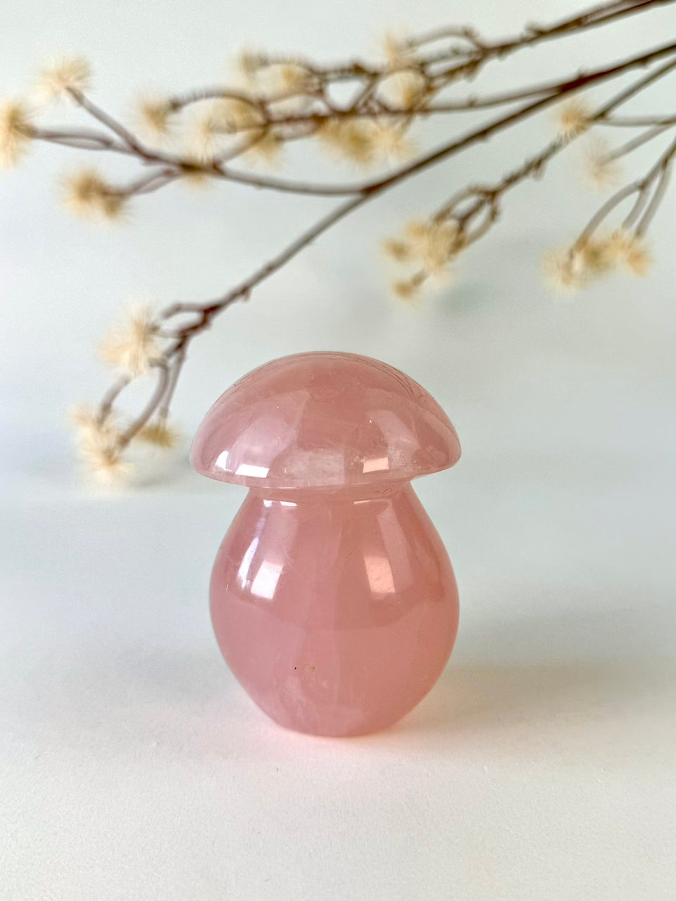 Rose Quartz Mushroom C