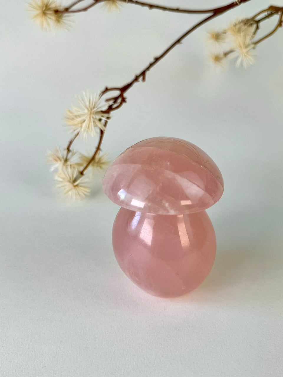 Rose Quartz Mushroom C