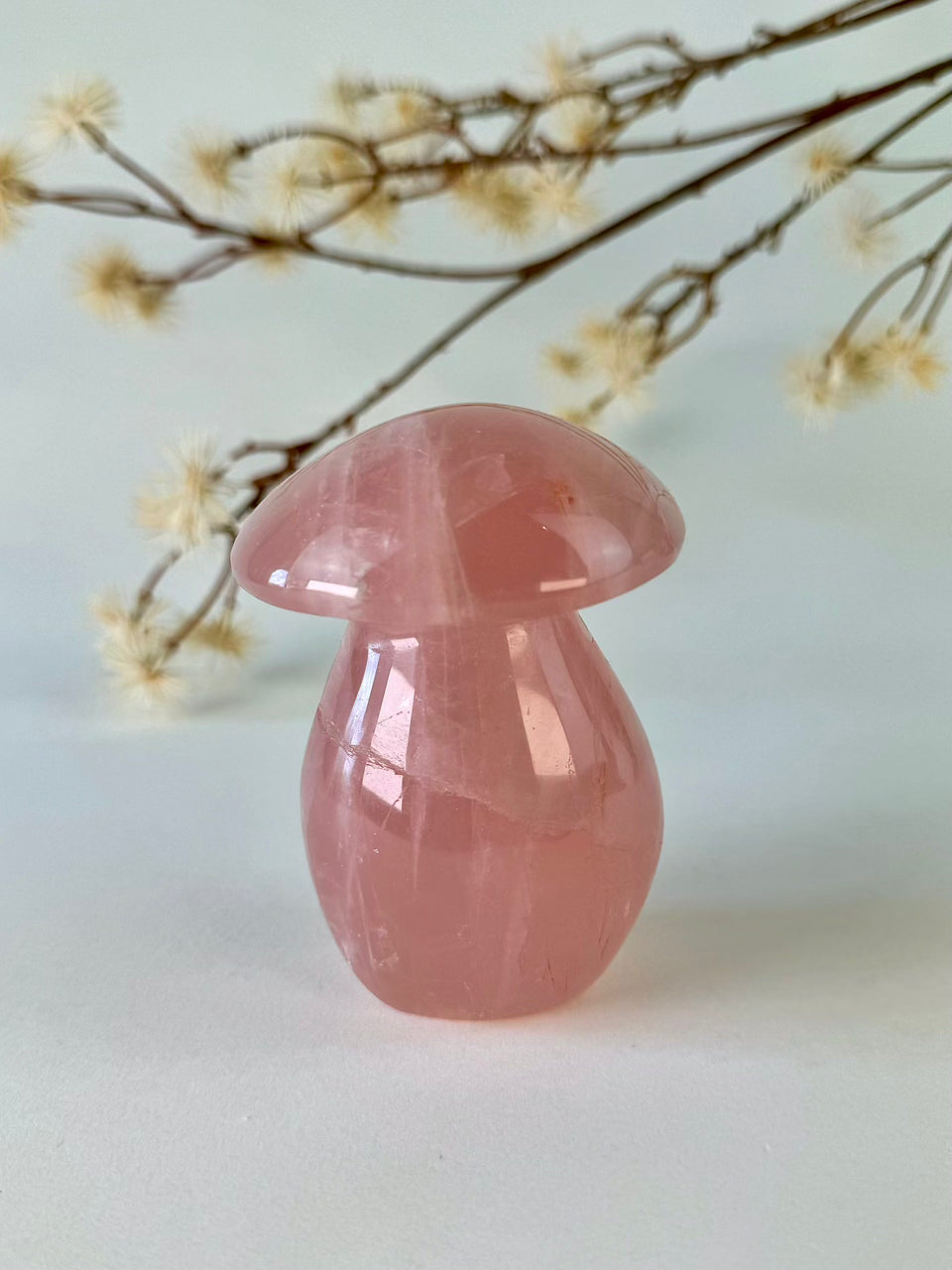Star Rose Quartz Mushroom