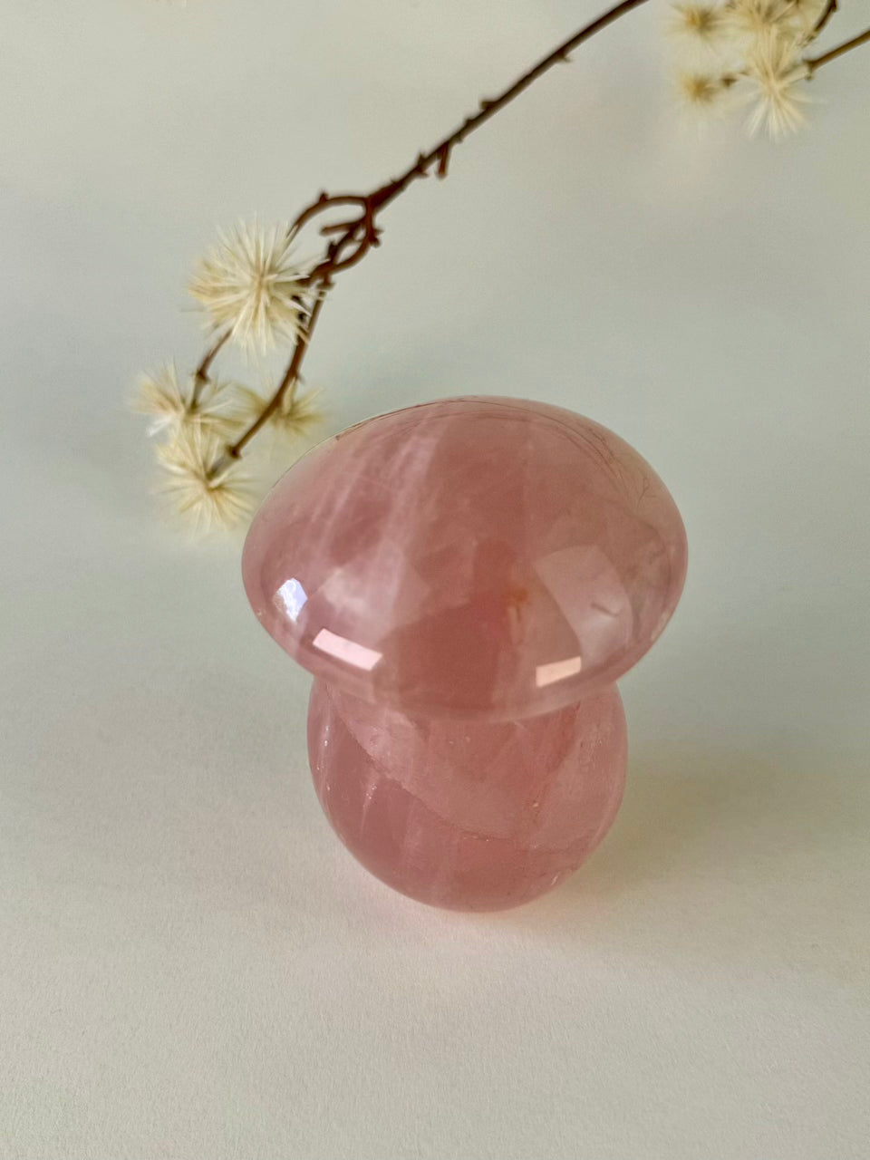 Star Rose Quartz Mushroom