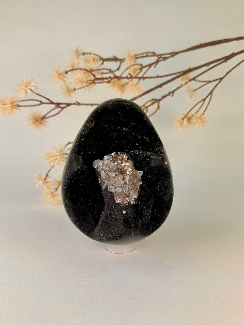 Big Druzy Septarian Egg
