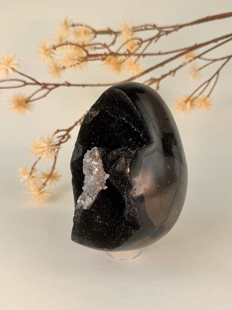 Big Druzy Septarian Egg