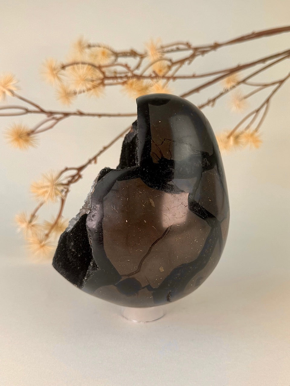 Big Druzy Septarian Egg