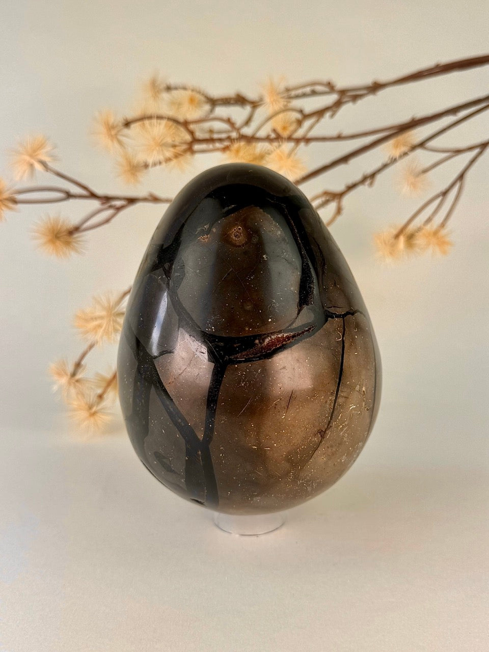 Big Druzy Septarian Egg