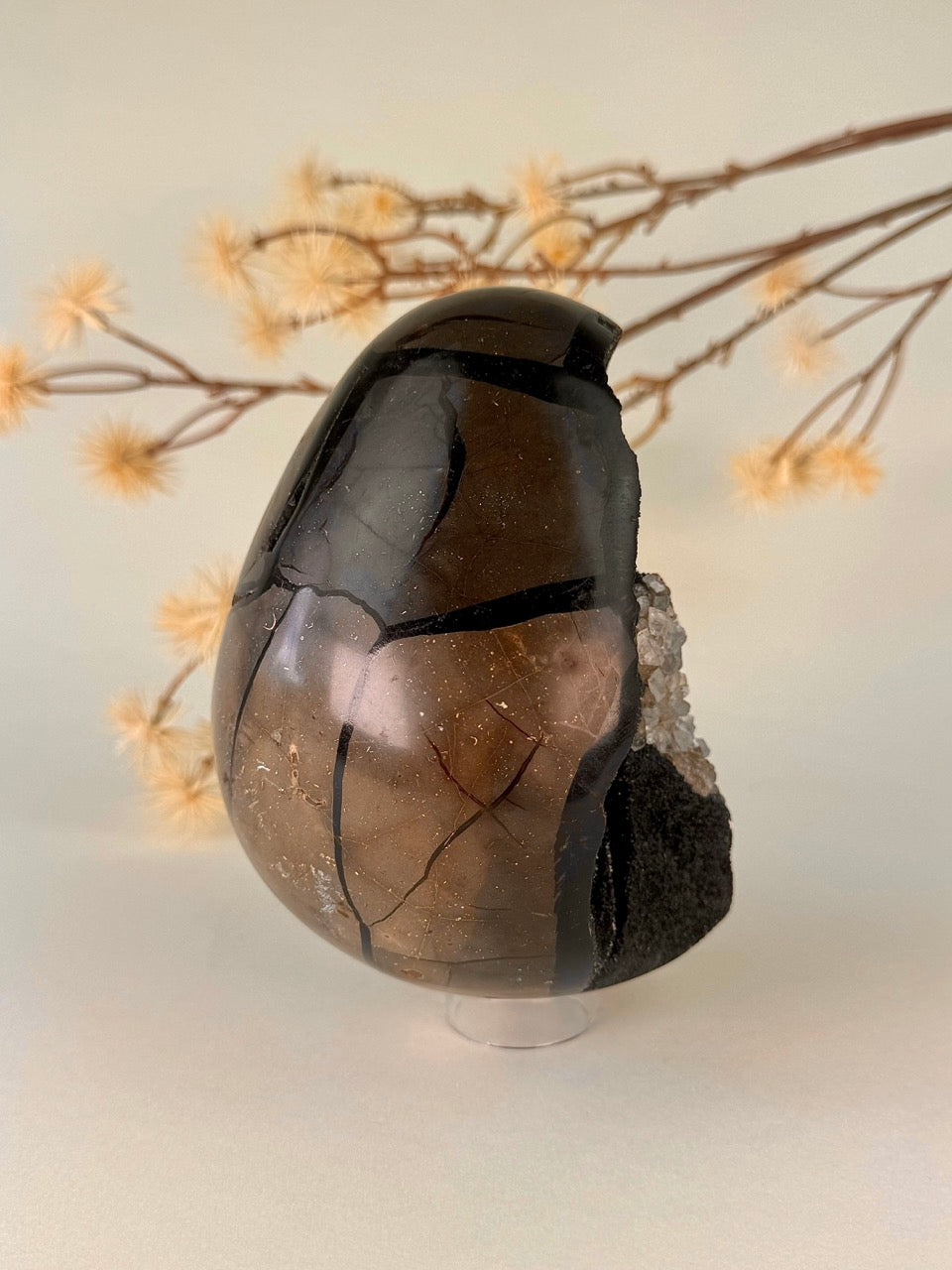 Big Druzy Septarian Egg
