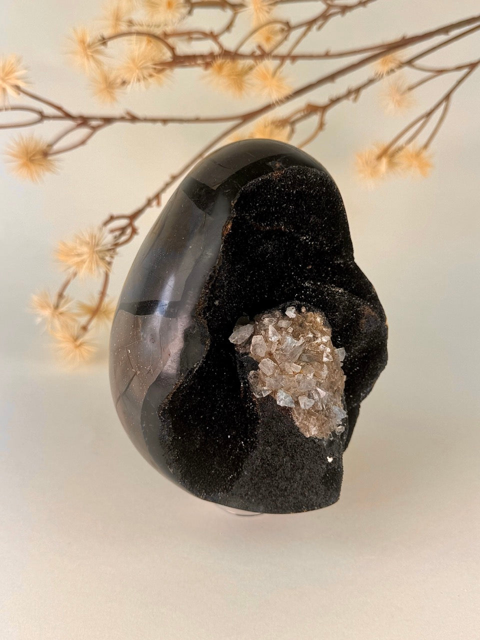 Big Druzy Septarian Egg