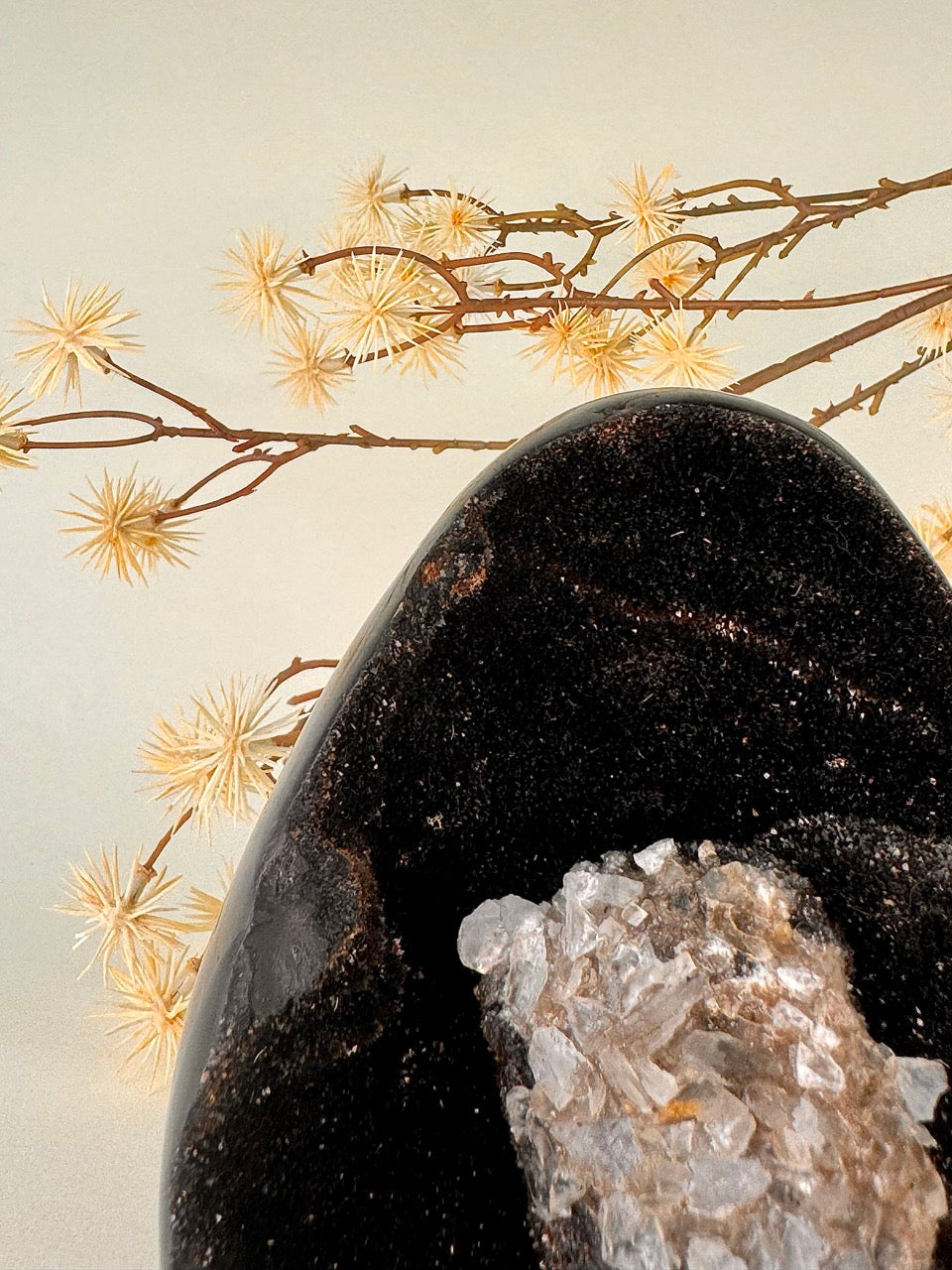 Big Druzy Septarian Egg