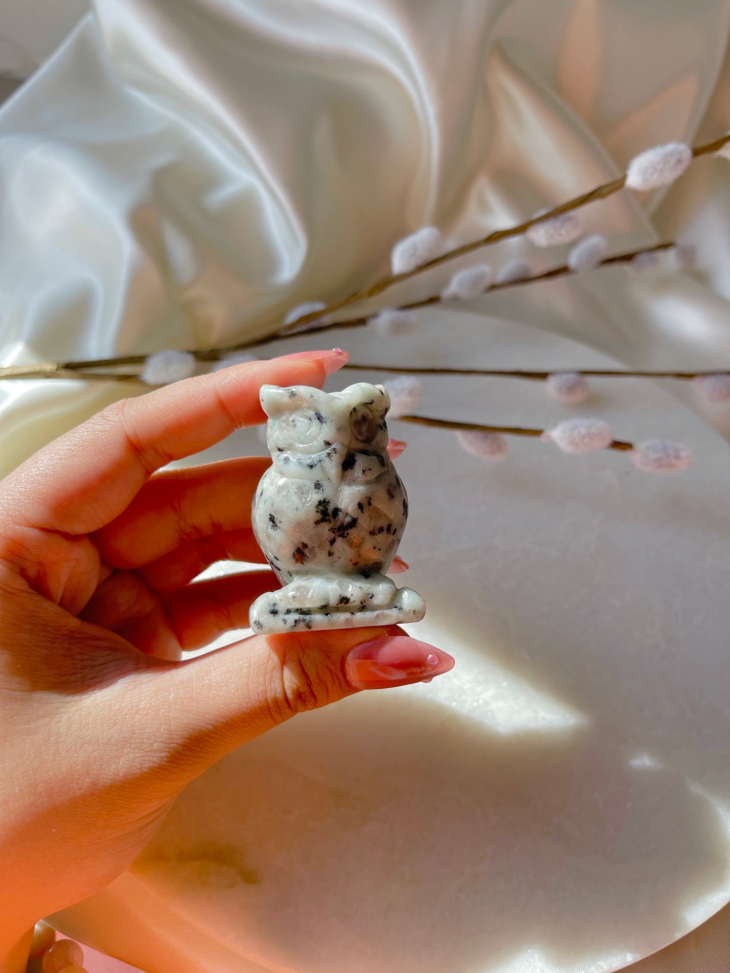 Kiwi Jasper Owl
