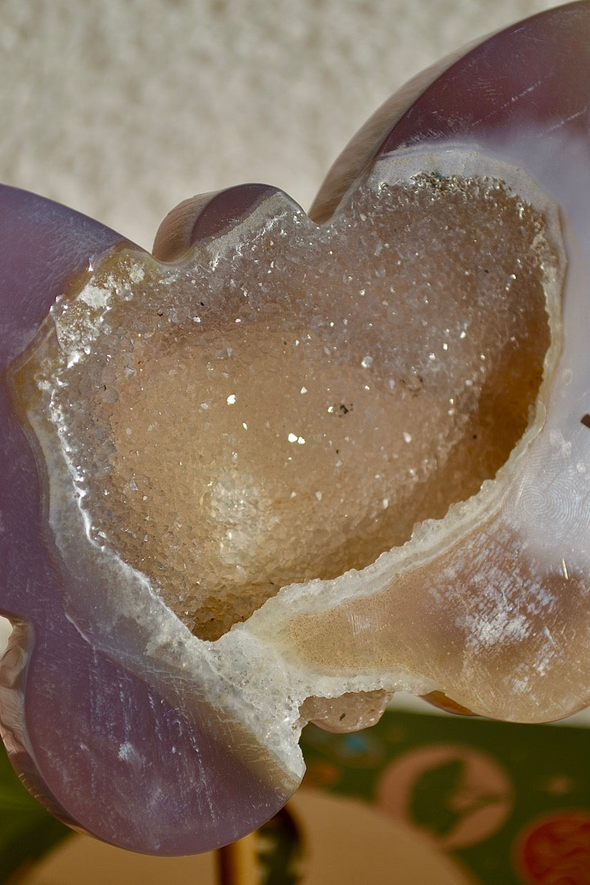 Agate Druzy Butterfly with stand (B)