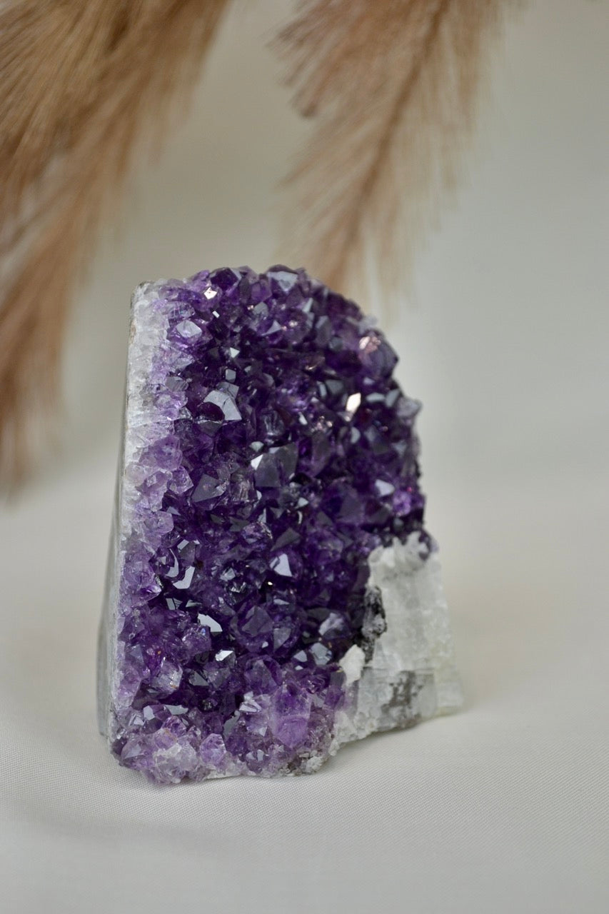 Amethyst Standing Cluster D