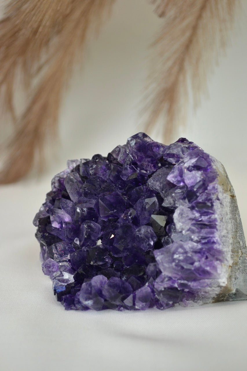 Amethyst Standing Cluster E