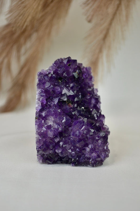 Amethyst Standing Cluster B