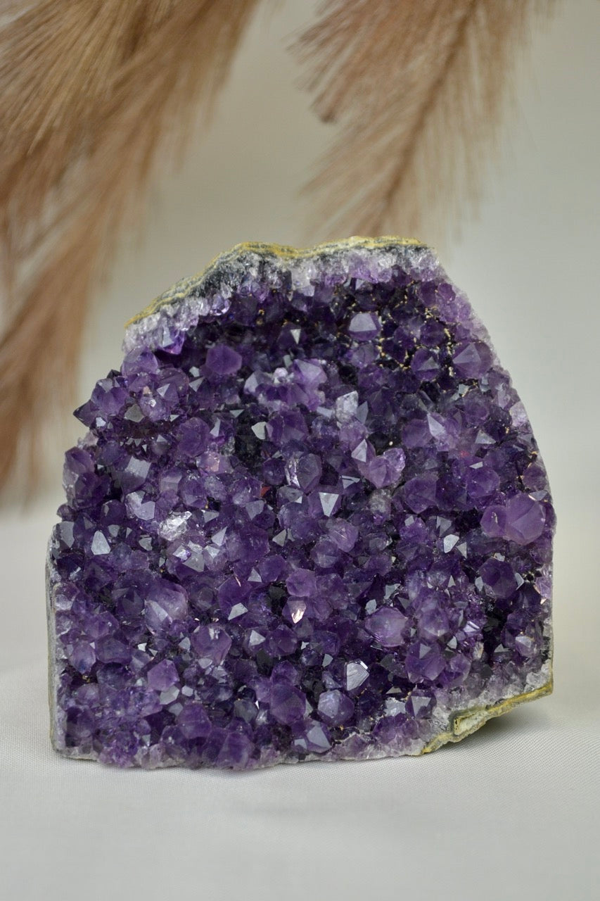 Amethyst Standing Cluster F