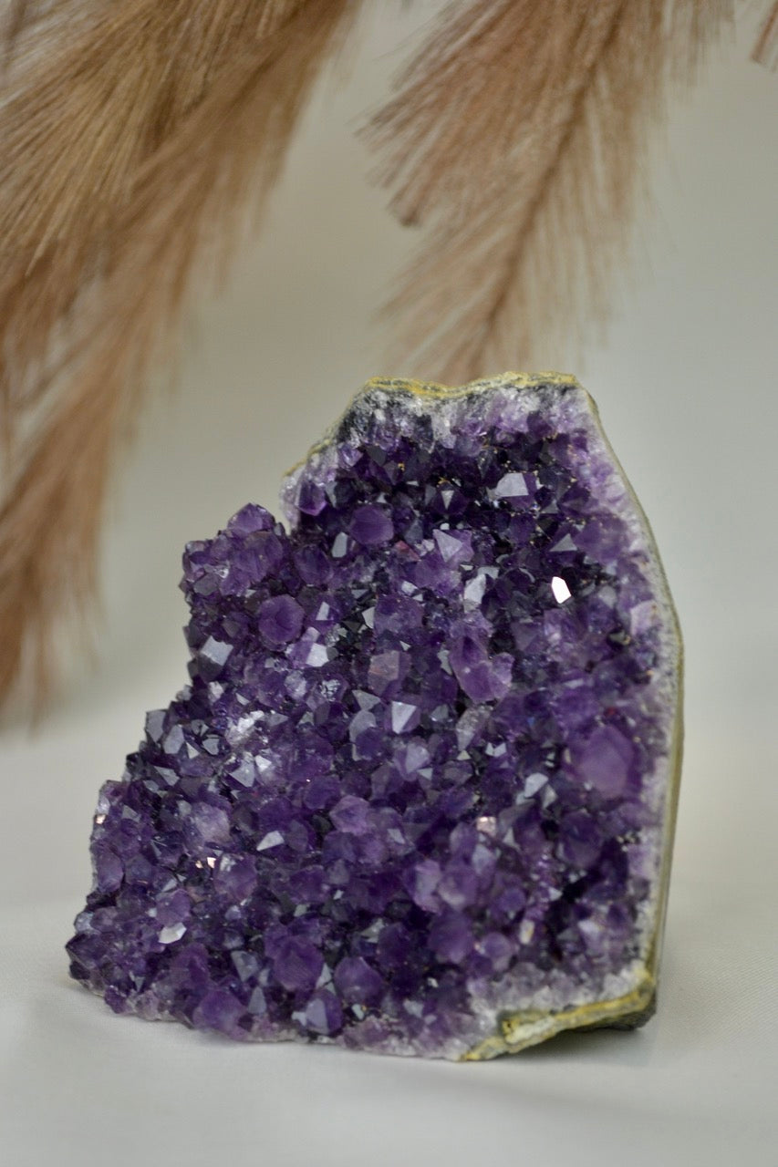 Amethyst Standing Cluster F