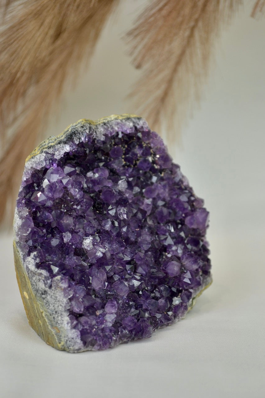 Amethyst Standing Cluster F