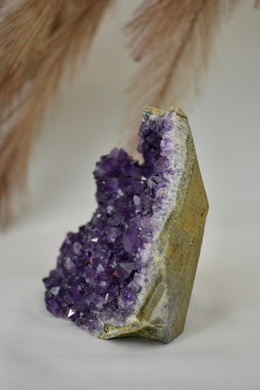 Amethyst Standing Cluster F