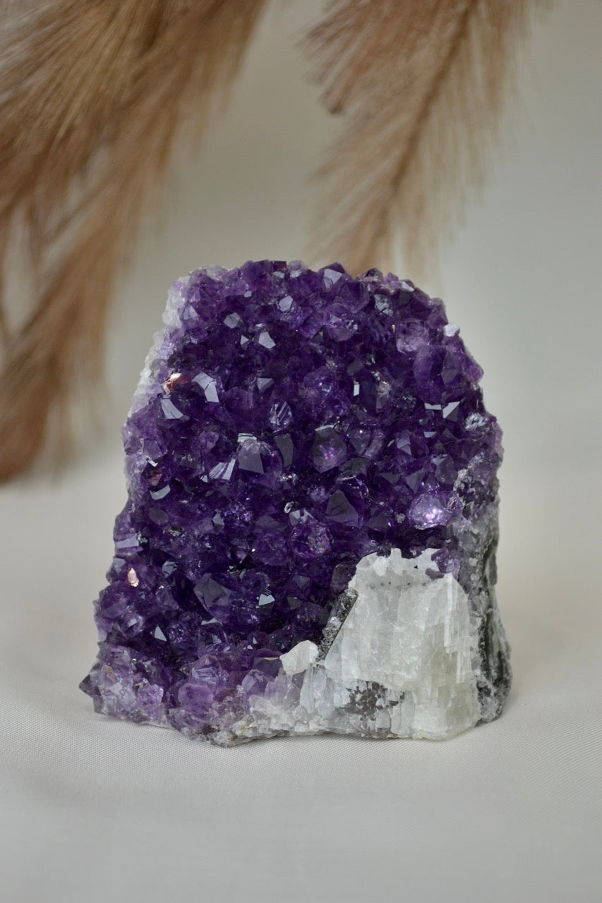 Amethyst Standing Cluster D