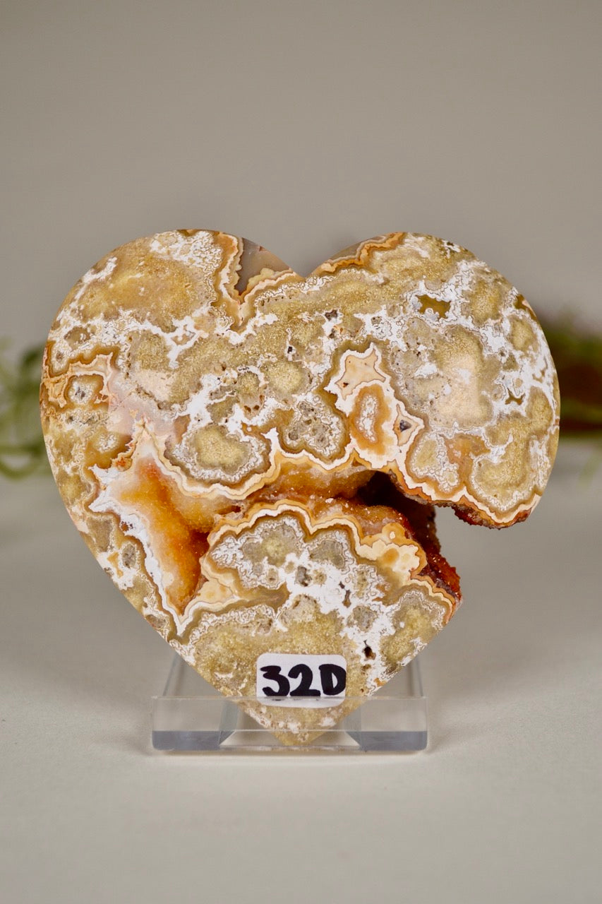 Crazy Lace Agate Heart