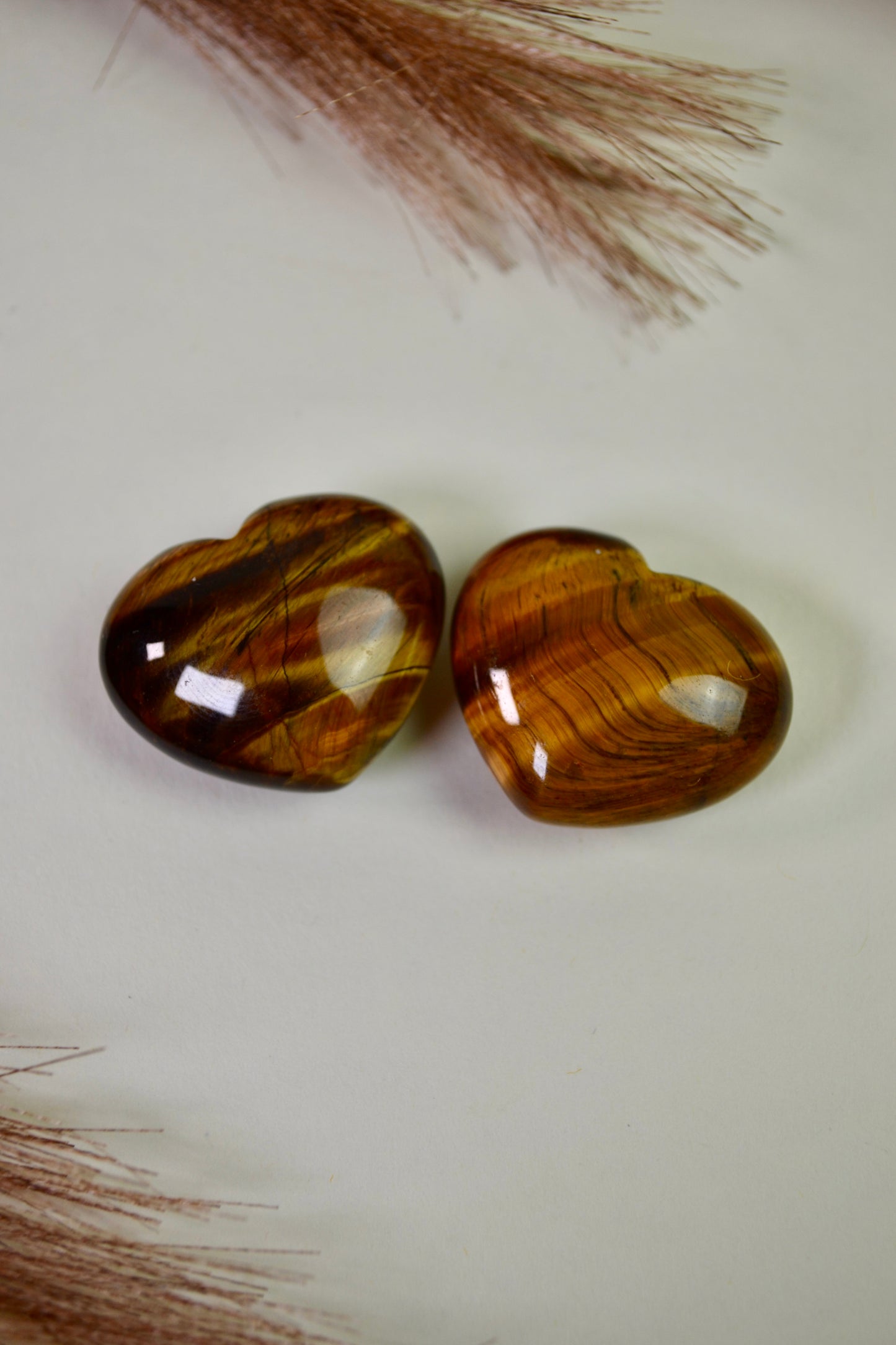 Chubby Tiger Eye Heart