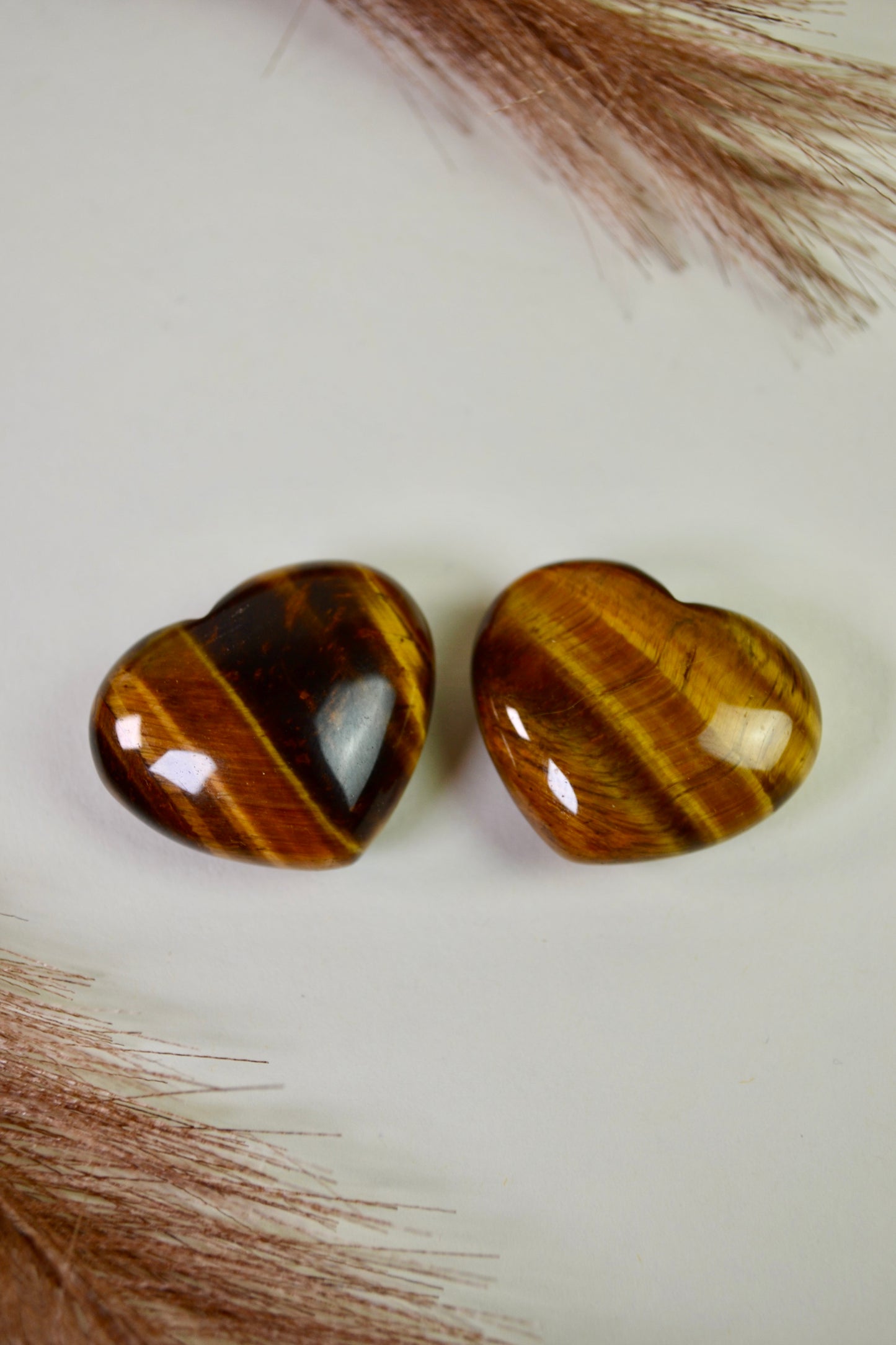 Chubby Tiger Eye Heart