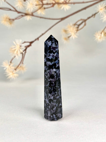 Gabbro Stone Tower