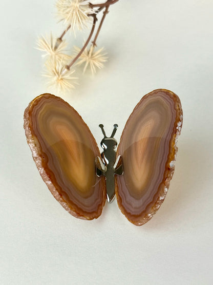 Agate Butterfly A