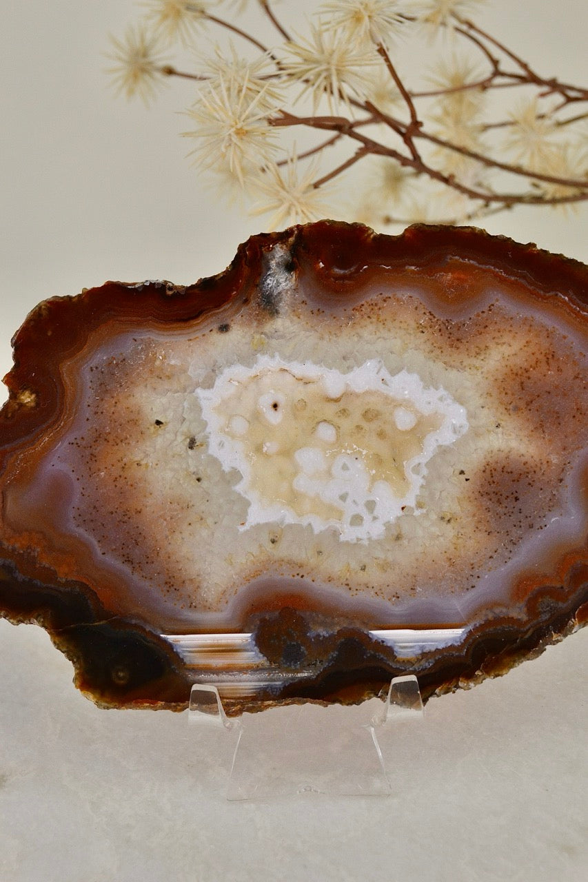 Agate Slice D