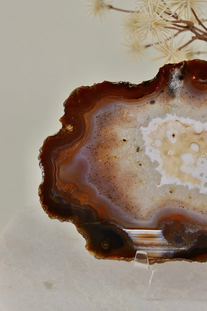 Agate Slice D