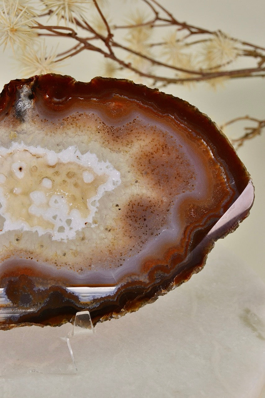 Agate Slice D