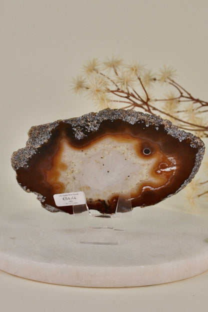 Agate Slice D