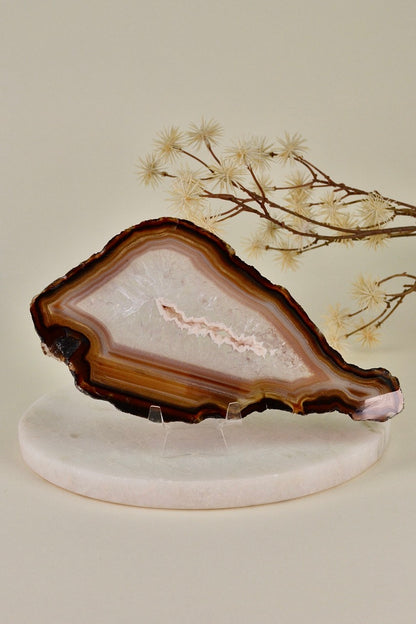 Agate Slice B