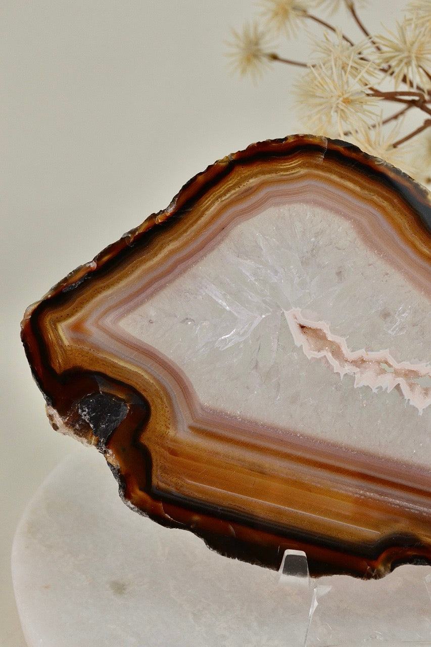 Agate Slice B