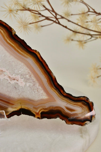 Agate Slice B