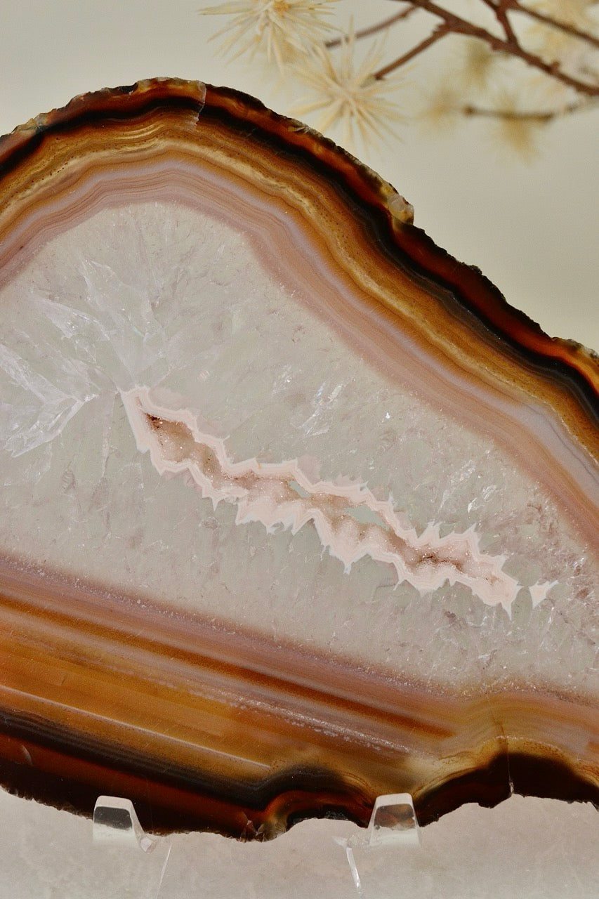 Agate Slice B