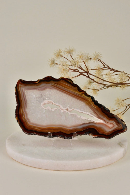 Agate Slice C