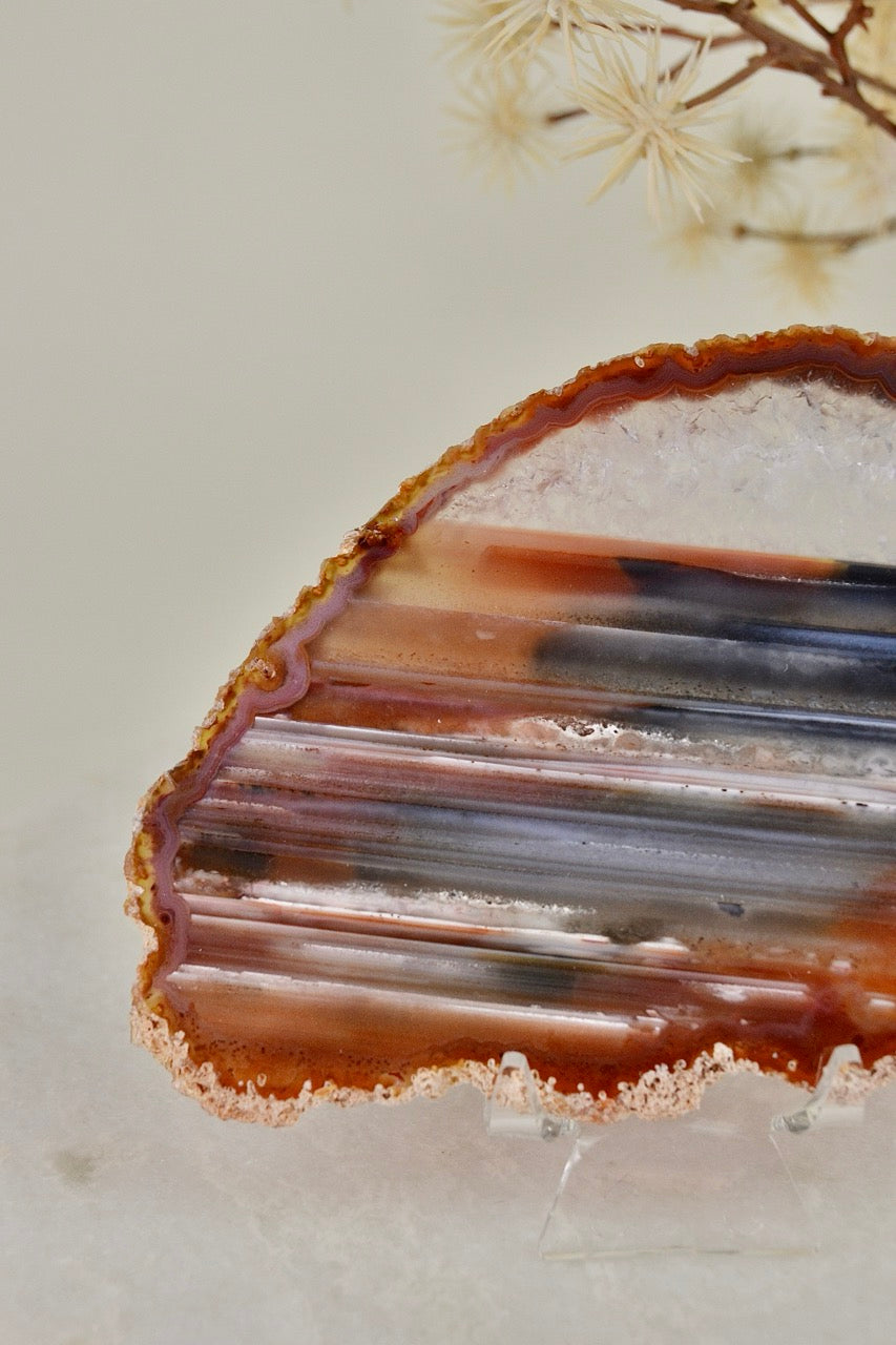 Agate Slice A