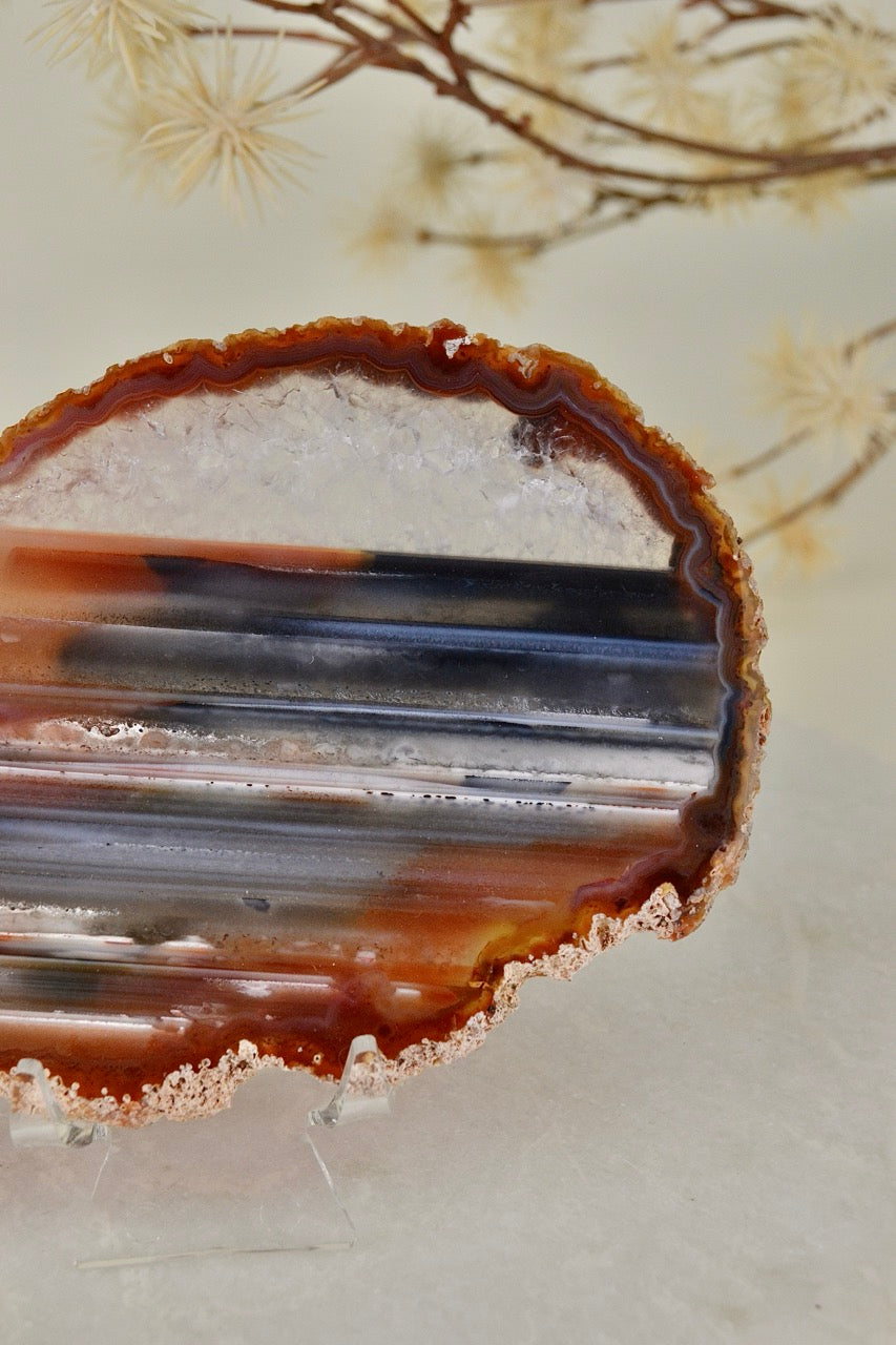 Agate Slice A